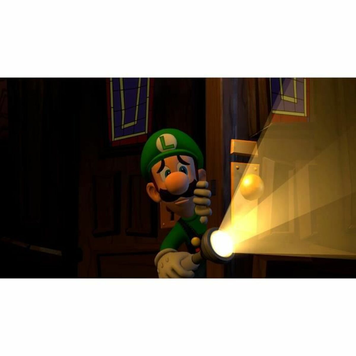 Nintendo Video Game For Switch Nintendo Luigi's Mansion 2