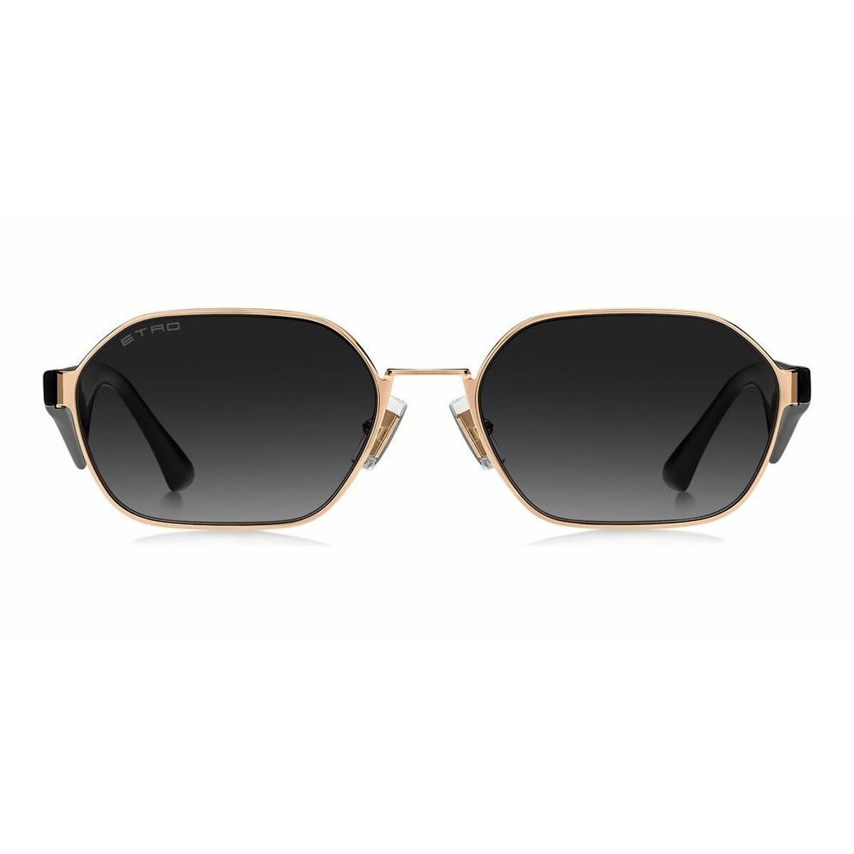 Etro Unisex Sunglasses Etro Etro 0111_S