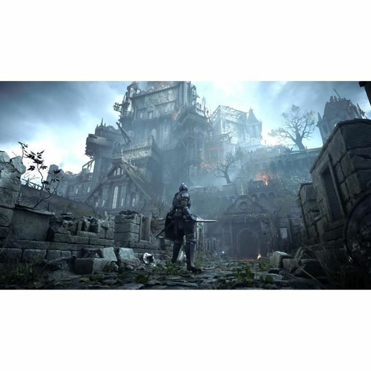 Sony Playstation 5 Video Game Sony Demon's Souls