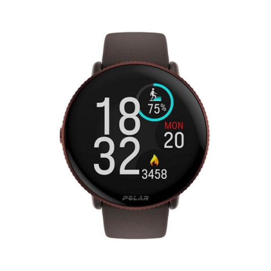 Polar Smartwatch Polar 900106604 Brown 1,28" 1,2" 43 Mm