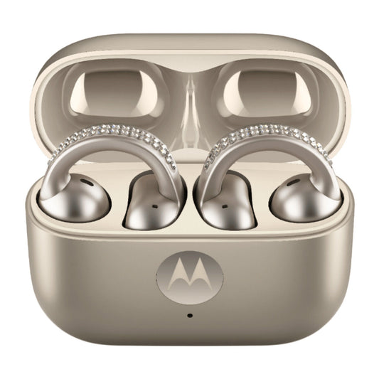 V2H34DFA5F6E4648BF46B1845BE781A81BDR7740761P1