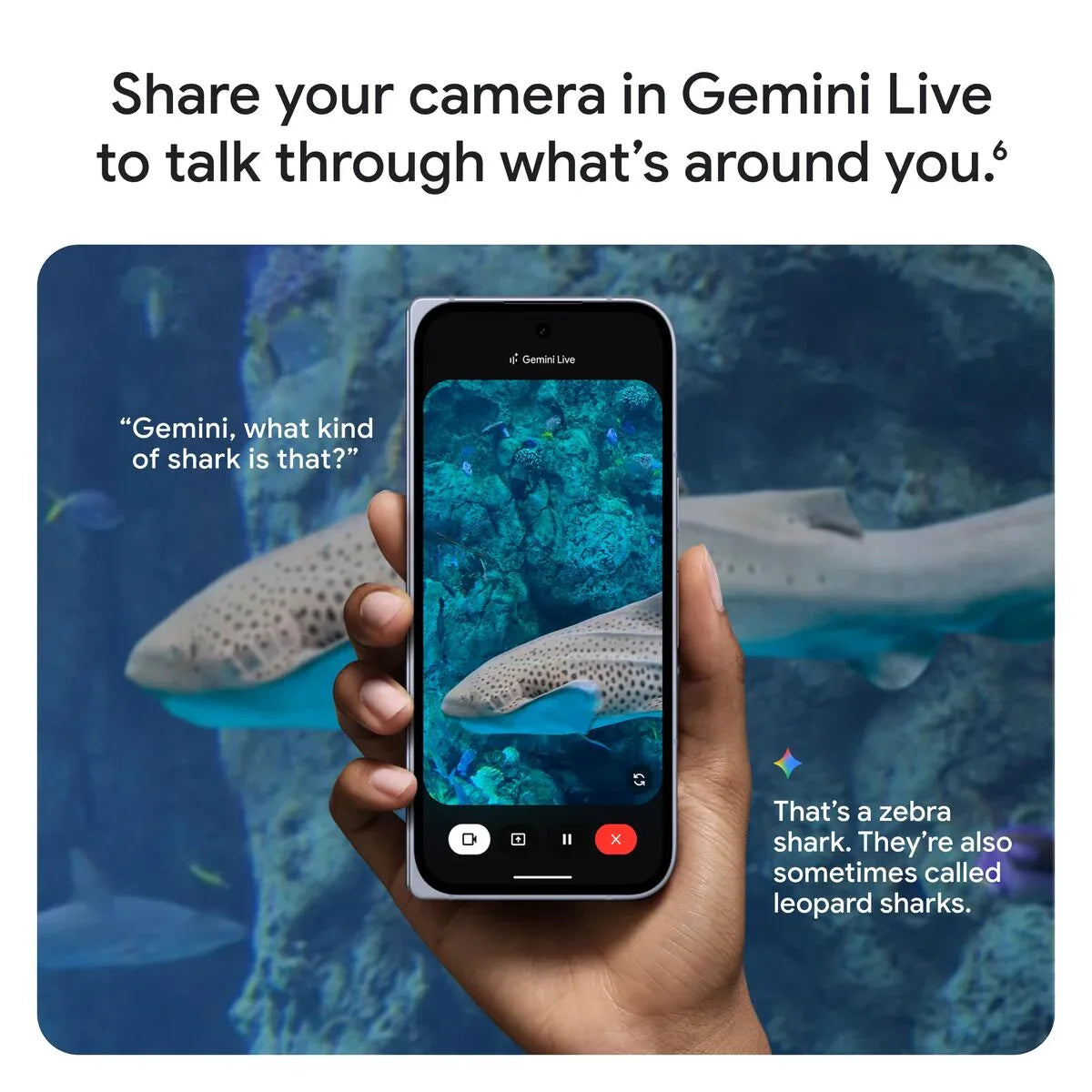 V2H303951D6302FF917A8904025EBD53ED9R7728914P9