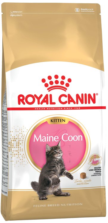 Royal Canin Maine Coon Kitten Gatos 2KG — image 1