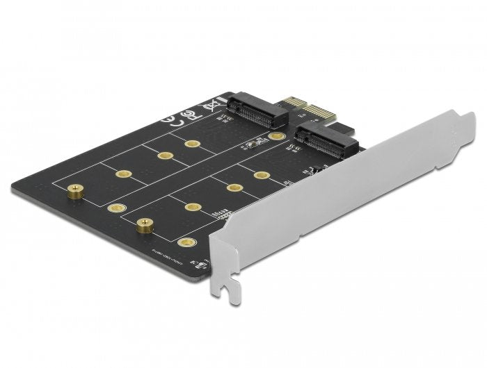 Delock Cards Pci Express X1 - 2 X Ranuras M.2 Key B