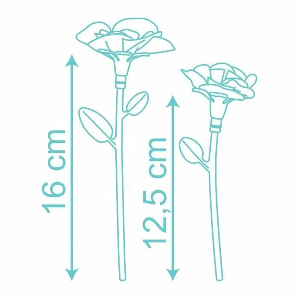 V8H42043D70EC20DC99599B1B283C5F04A2R3927277P6