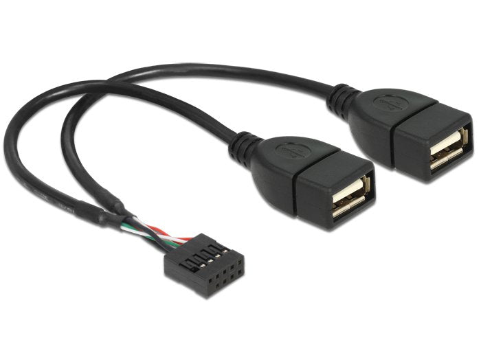 Delock 83292 Adapter USB 10PIN - 2X a H/H 0.20M Black