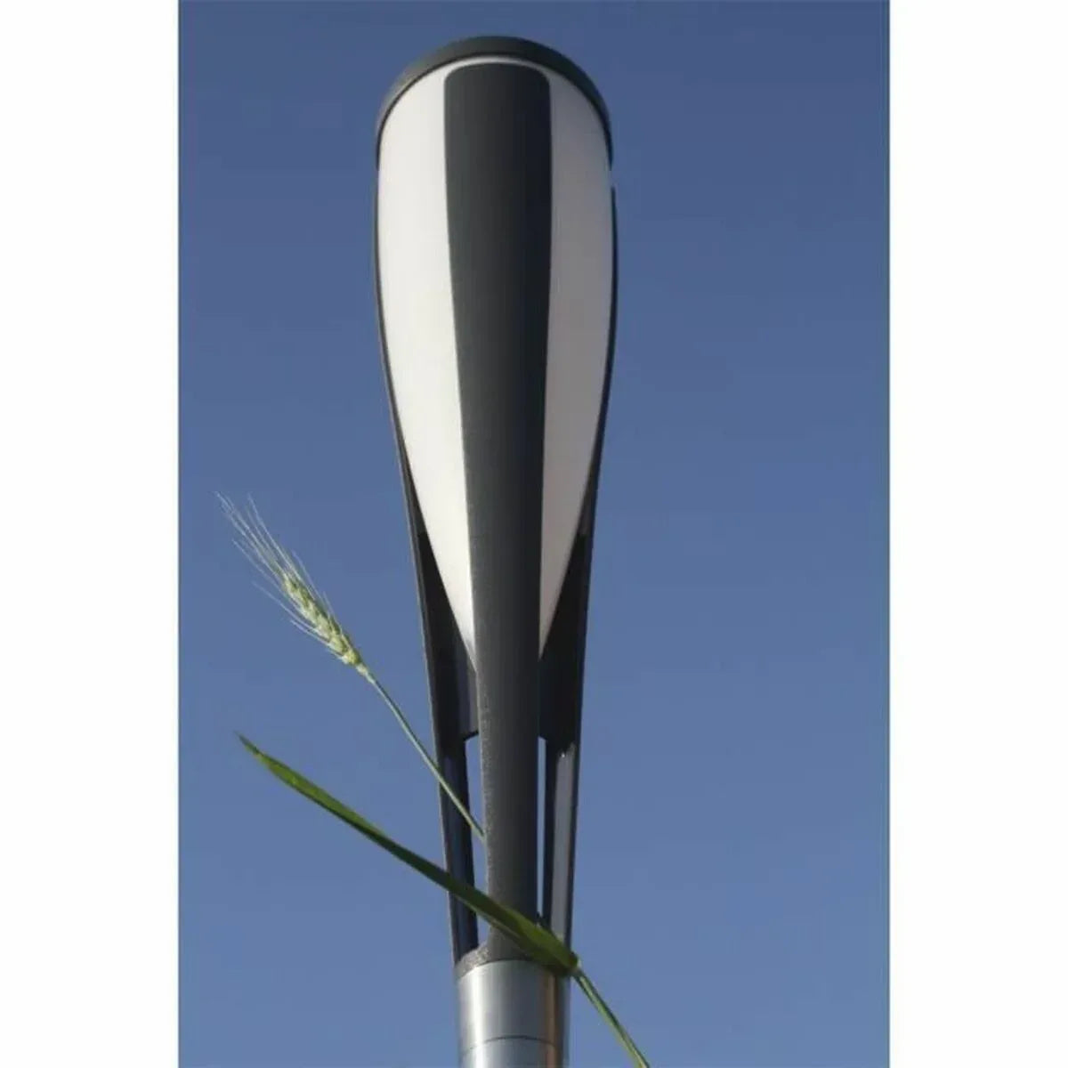 V6H91093CAF99DA9F32242E025AD3D51B85R5567716P3