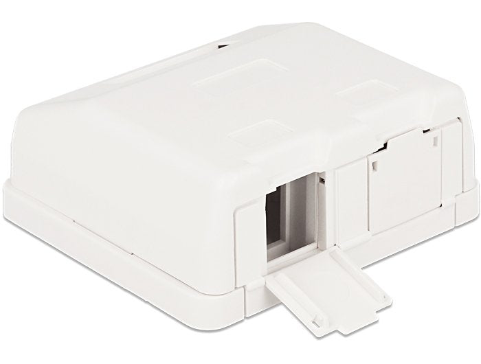 Delock Box Of Surface Vacia 2 Hembras Panel With Cover Polvo