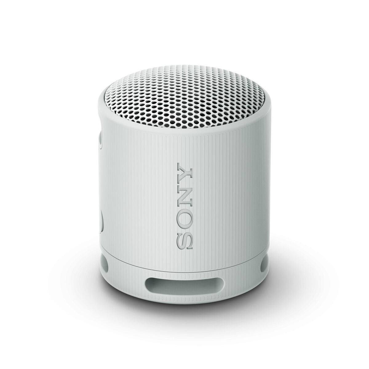 Sony Portable Bluetooth Speakers Sony Srsxb100H.ce7 Grey