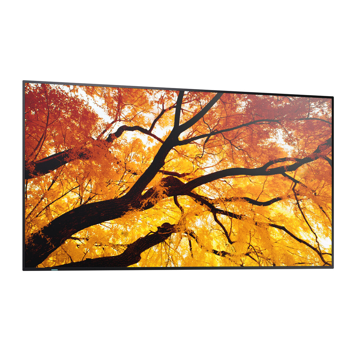 Sharp Videowall Monitor Sharp 60006052 Full Hd 32"