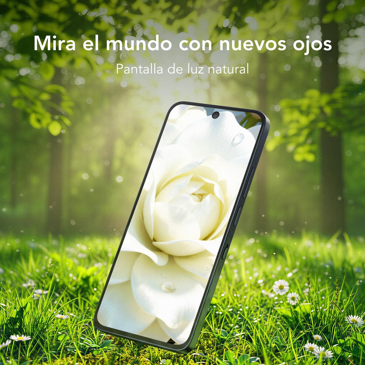 V1H54FDDCBFDFA8AF8B95BB25D4F2A274E8RP4