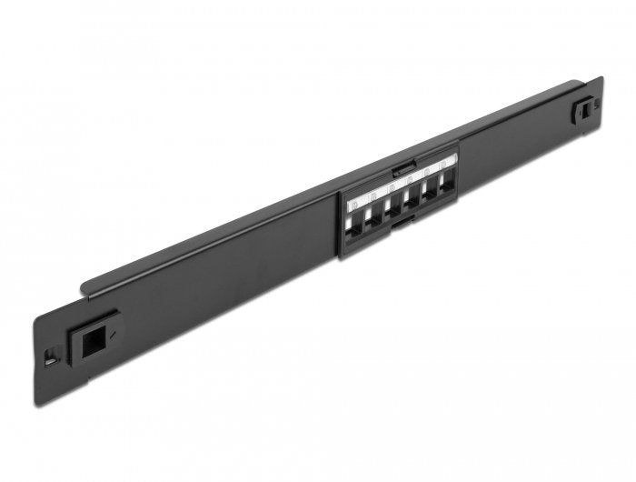 Delock Panel Connection Keystone 19 And 6 Ports Without Tools