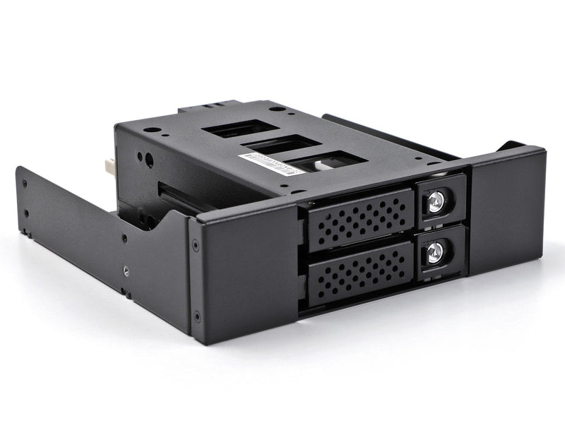 Delock 47011 Panel Bahía Hard Drive 2X 2,5 U.2 NVMe SSD With 5.25 Rahmen