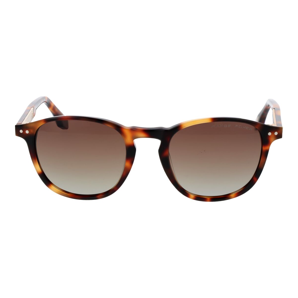 Range Rover Men's Sunglasses Range Rover Rrs303 51Trt Multicolour