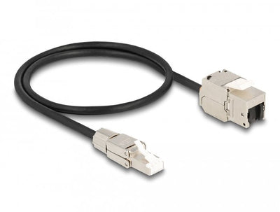 Delock Cable RJ45 Connector Male Montable Campo a Keystone Módulo RJ45 Connector Female CAT.6A 50CM — image 1