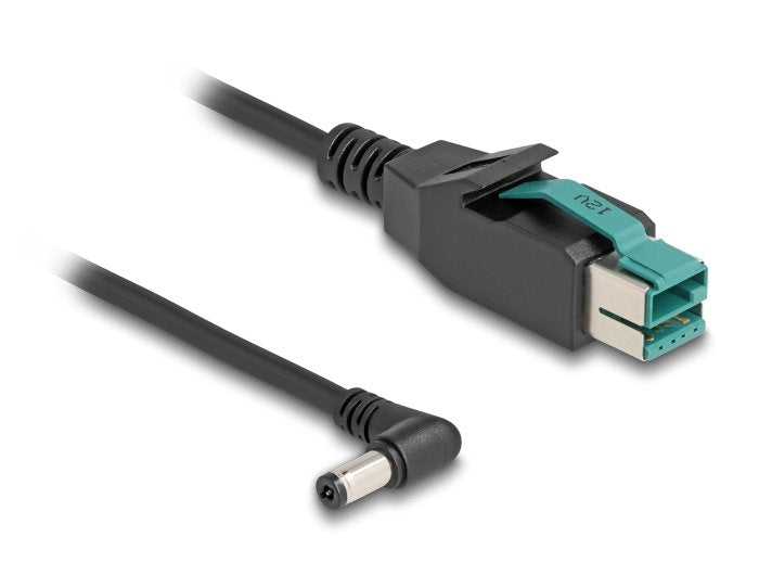 Delock 80013 Cable Poweredusb Male 12V a DC 5,5 X 2,1MM Male Sesgado 3M