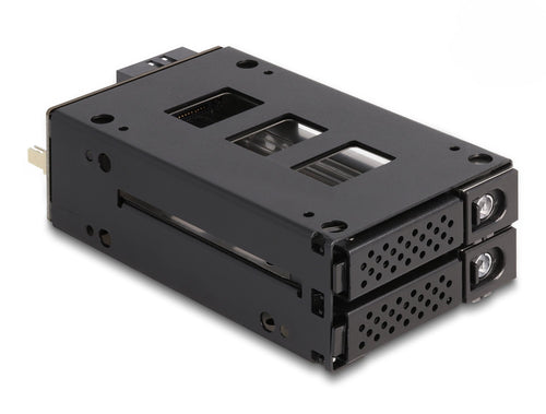 Delock 47019 Shelf Mobile Phone Bahía Delgada 2 X 2.5? U.2 NVMe SSD — image 1