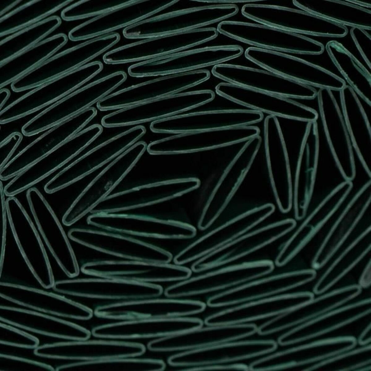 V6H31949CE8D206160C0FDBFCAEA3A4FCC1R6467261P2