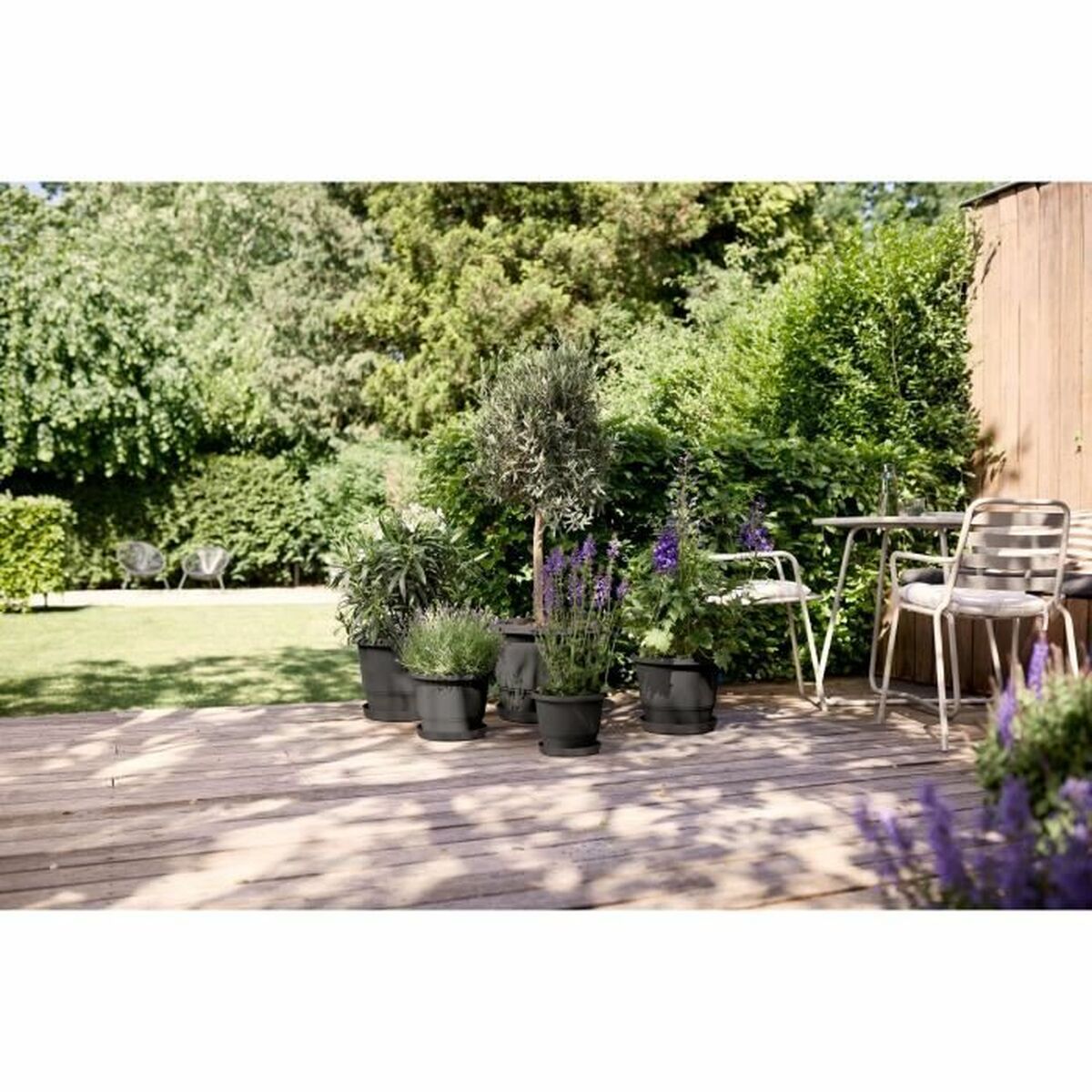 V5HA4F0E70197BE2F49C81964191143B9F9R5529074P3