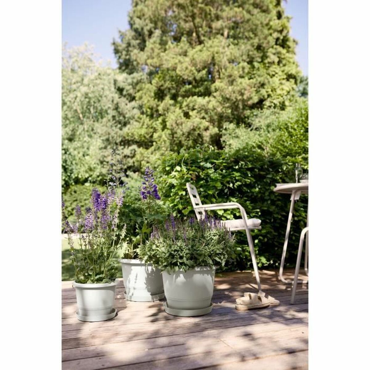 V5HE38F5A39E7795DD03F5955B98DDAB02BR5529036P3