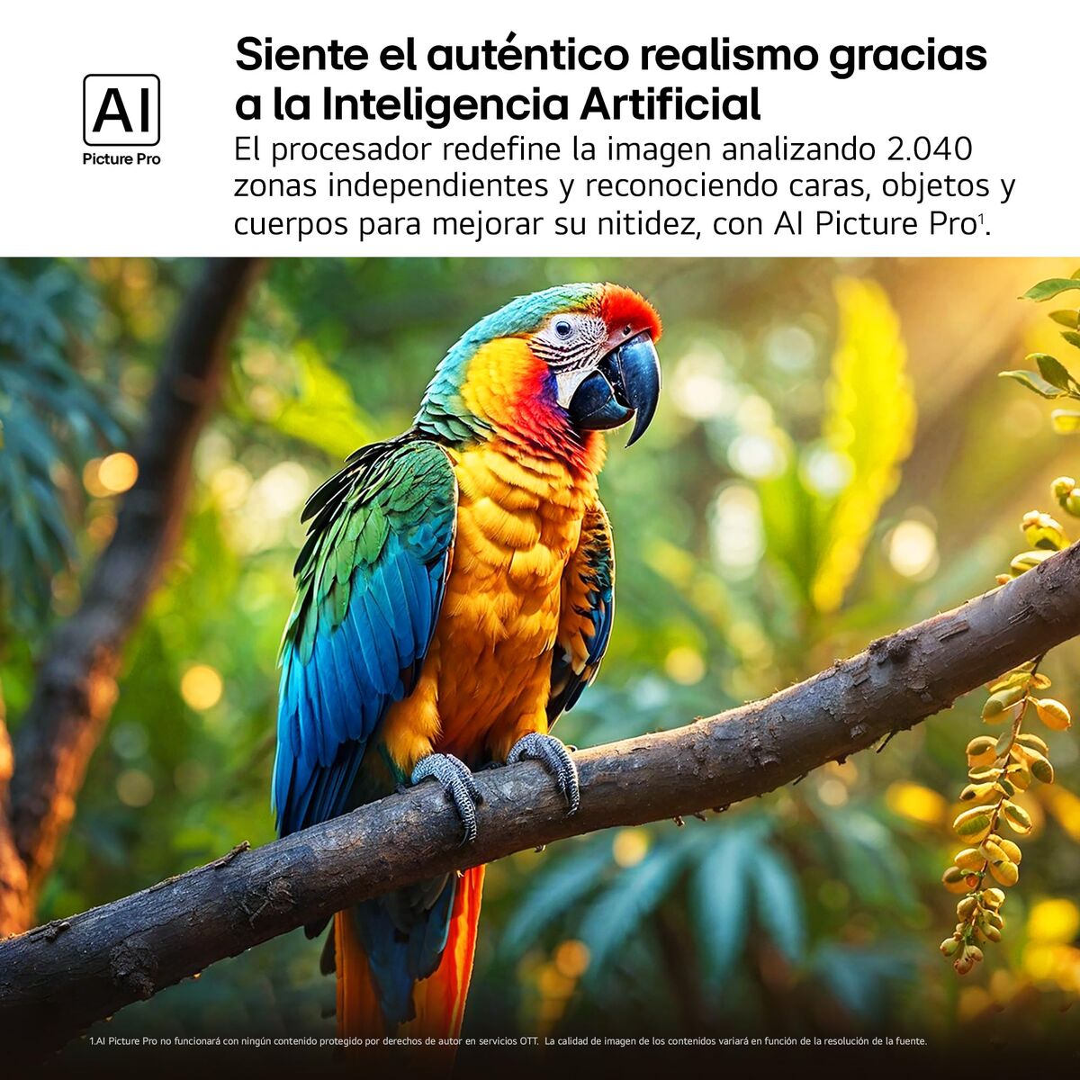 V2H0A96BA181A9B4F8E388F8DFE5E59903DR7808805P9