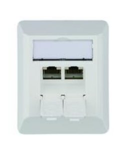 Telegärtner Socket AMJ45 8/8 K Ap / 50 CAT.6A White Alpino — image 1