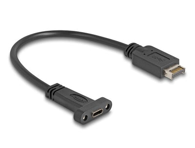 Delock USB 10Gbps USB Cable Type And Key a 20 Pin Connector Male a USB Type-c™ Connector Female Assembly 25CM — image 1