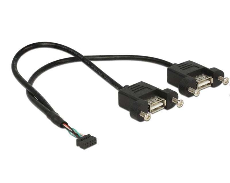 Delock USB Cable 2.0 Female 10 Pines 2,00MM 2 X USB 2.0 Tipo-a Female Installation Panel 25CM