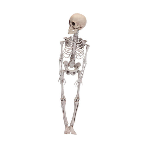 Figure Esqueleto Halloween 42CM — image 1