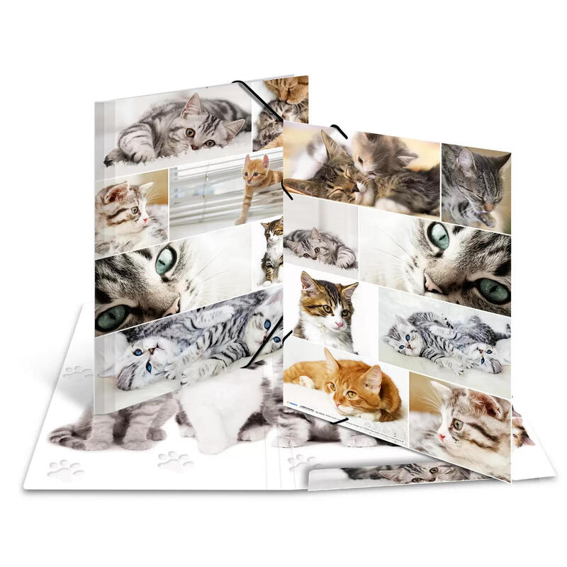 Herma Folder Clasificadora A3 Katzen Pappe
